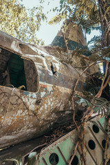 Plane crash in Australian jungle. Old rusty abandoned airplane wreckage. Vintage brown aeroplane wreck. Travel, transportation, disaster, aviation, accident concepts. Rescue abandoned in bushes. 