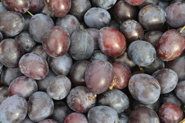 close up of ripe plums