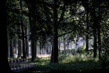 The old park, a part of Rothschild's estate in Holland
