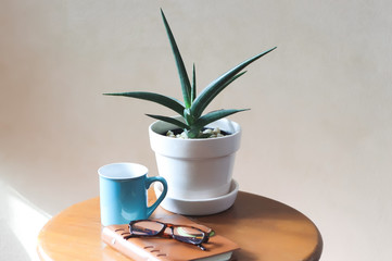 Sansevieria, notebook and eye glasses and blue coffee mug on wooden table with morning sunligh.morning routine, self isolation, quarantine concept.