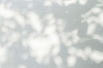 Leaves shadow and tree branch abstract background.  Natural leaves tree branch light bokeh shadows and sunlight dappled on white concrete wall