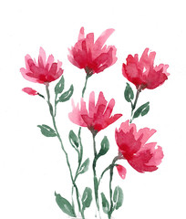 Pink watercolor flowers on white background.  
Bouquet of abstract spring flowers.