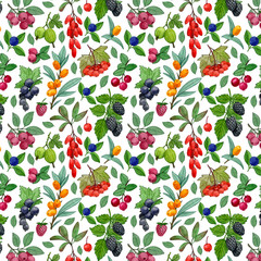 seamless pattern with berries