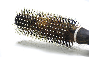 White hair for brushes There are a lot of hair entangled. Putting on a white background