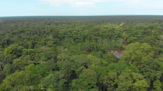 millions trees in the amazon rainforest jungle, panoramic view, horizon line, aerial shot.