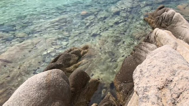 Closeup top view on shallow rocky beach with clear transparent water and black sea urchin habitat  in 4k