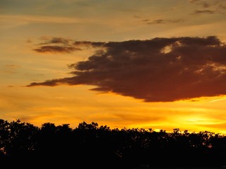 Sonnen untergang mit wald und bewölktem Himmel