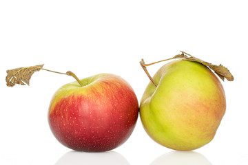 Group of two whole fresh garden apple isolated on white