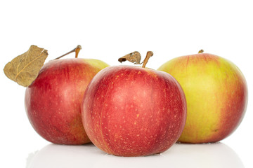 Group of three whole fresh garden apple isolated on white