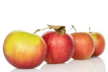 Group of four whole fresh garden apple isolated on white