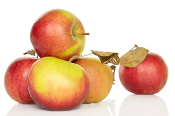 Lot of whole fresh garden apple isolated on white