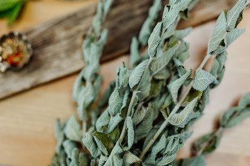 dried mint on wooden background