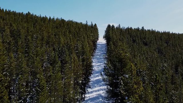 Drone flying up a cutline