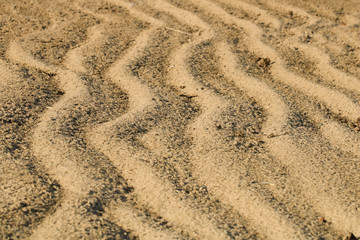 Fototapeta na wymiar Beautiful wave patterns found in a sand dune in the desert