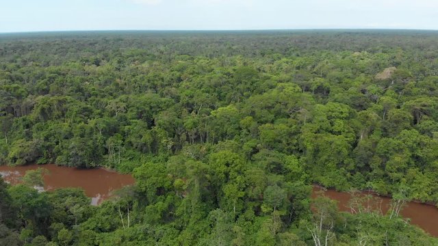 Amazon rainforest jungle, aerial view crossing the river, panoramic cinematic shot.