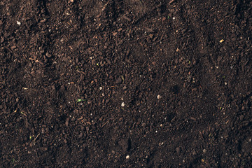 Botany humus compost mix top view