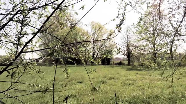 Drone flying through a wooden fence and trees. Shadowed.