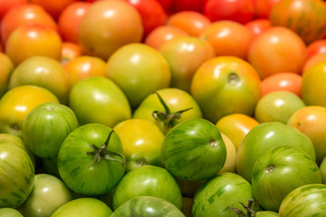 background of tomatoes of different degrees of maturity, color gradient
