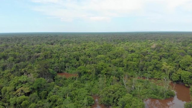 Amazon rainforest jungle panoramic view, horizon line, cinematic shot.