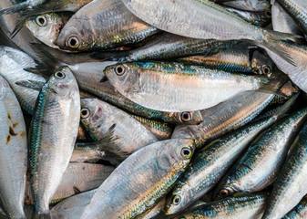 small fish texture on a fish market counter for a better selection of buyers buyers. Peeled sea fish in a crate at the port city of Fish Market in thailand,food concept