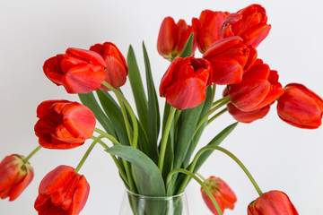 Red tulips in a vase on the table, on a white background. Postcard blank.