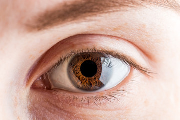 female brown eye close-up, macro