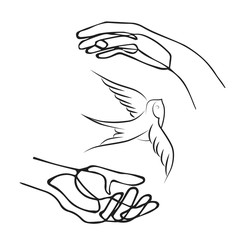 Naklejka na ściany i meble Hand, holding, swallow, bird, vector, illustration