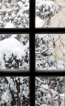 View from window with snow and trees.