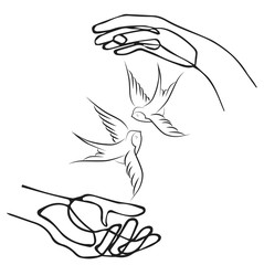 Hand, holding, swallow, bird, vector, illustration