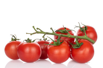 Lot of whole fresh red cherry tomato on vine isolated on white