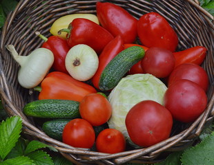 fresh vegetables in basket, clorful tomatoes, cabbage, peppers, onions, cucumbers