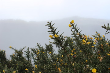 Madeira Island, Portugal