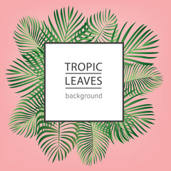 Tropic leaves background with frame for your text.