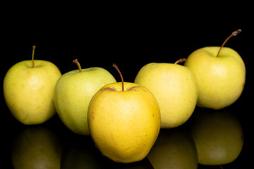 Group of five whole green delicious apple isolated on black glass