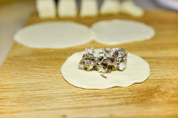 Minced mushroom and chicken on the dough. The process of making dumplings