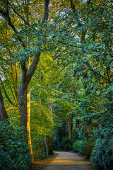 Image of Corbiere Railway Walk, St Brelade, Jersey Channel Islands.