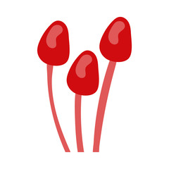fungus plants hand draw style icons