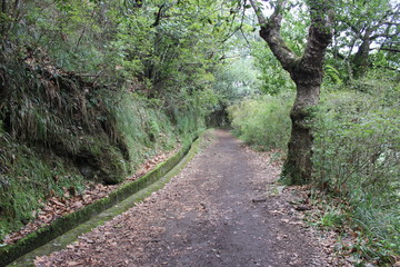 Madeira Island, Portugal