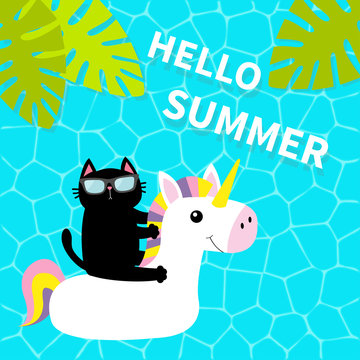 Black cat floating on white unicorn pool float water circle. Swimming pool water. Hello Summer. Top air view. Sunglasses. Lifebuoy. Palm tree leaf. Cute cartoon relaxing character. Flat design.