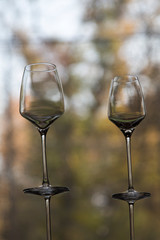 The row of wine glasses on a sill.