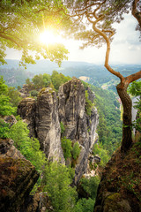 Famous viewpoint with iconic tree in the Elbe Sandstone mountains in Saxon Switzerland National Park