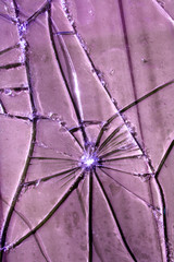 Close Up of Broken Smashed Glass for Abstract Background