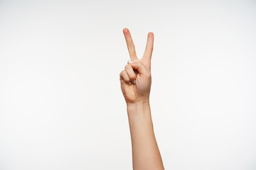 Indoor photo of young attractive female's hand keeping two fingers raised while showing victory sign or peace gesture, posing over white background