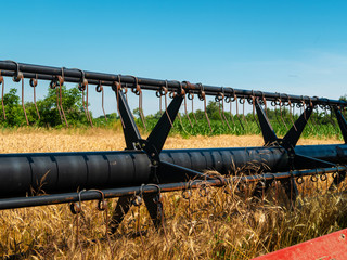 Wheat harvesting in the summer. Red harvester working in the field. Golden ripe wheat harvest...
