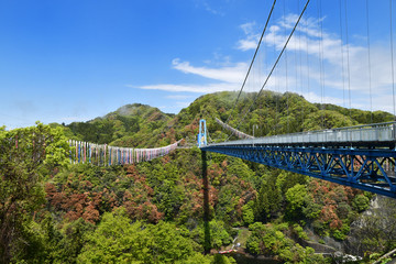 Fototapeta na wymiar 茨城県の竜神大吊橋 
