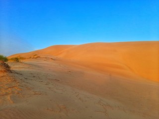 Fototapeta na wymiar sand dune in desert of Algeria