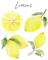  lemon. Fresh lemon fruits, collection of  illustrations