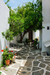 Fototapeta na wymiar Picturesque narrow street with traditional whitewashed houses with blooming flowers of Naousa town in famous tourist attraction Paros island, Greece