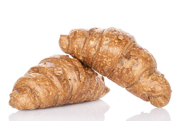 Group of two whole baked wholegrain croissant isolated on white