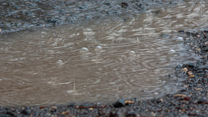 water drops on the surface. Drops and bubbles in a puddle when it rains